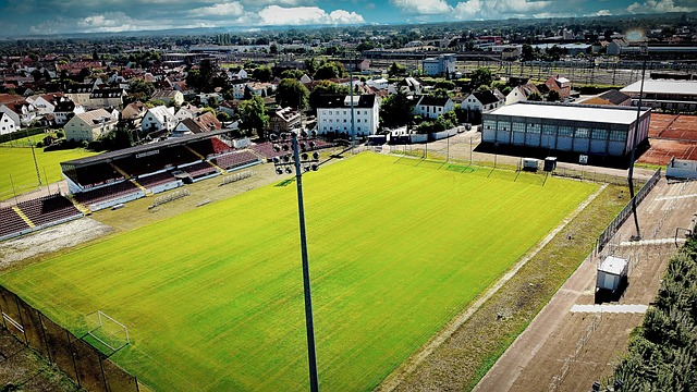 为皇马的胜 为皇马的胜