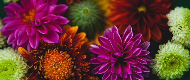 乐性与传播 乐性与传播