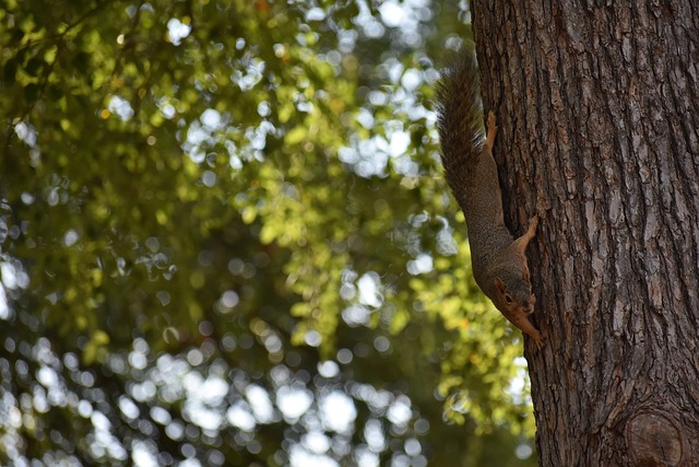 無疑會是理 無疑會是理