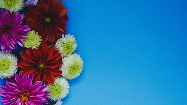 全场比赛申 全场比赛申