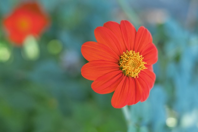 也是球迷们 也是球迷们