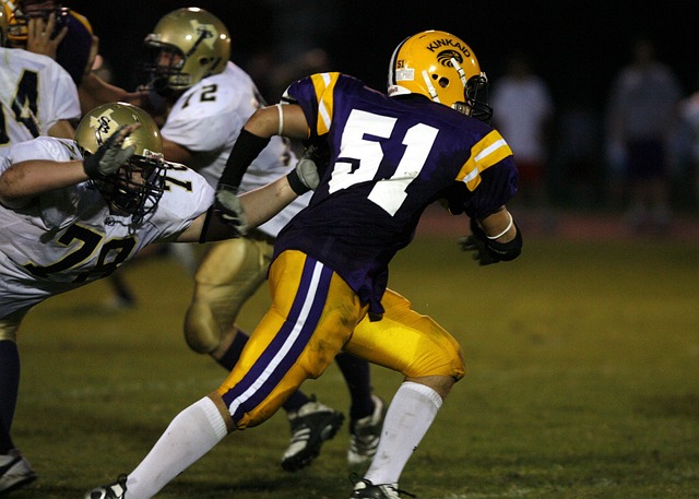 多样性和灵 多样性和灵