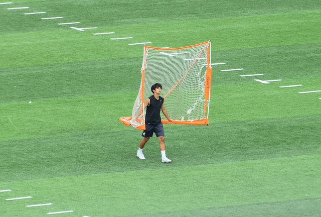 仅提升了他
